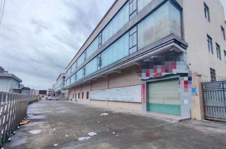 常平桥沥原房东3000平方，首层6米，豪华装修