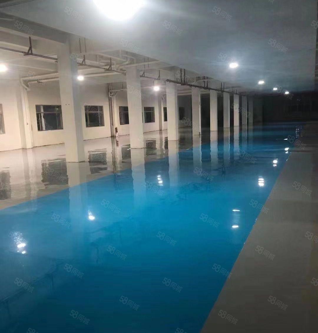 常平镇 可办环评 带装修有办公室 形象超好 空地大