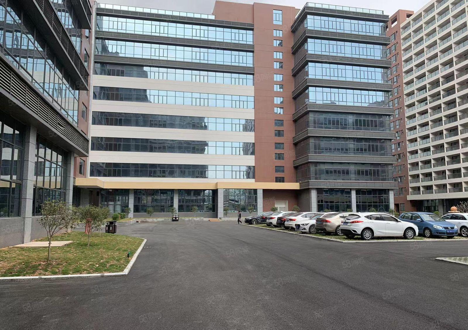 （超豪华）常平标准厂房出租，可分租，可办环评