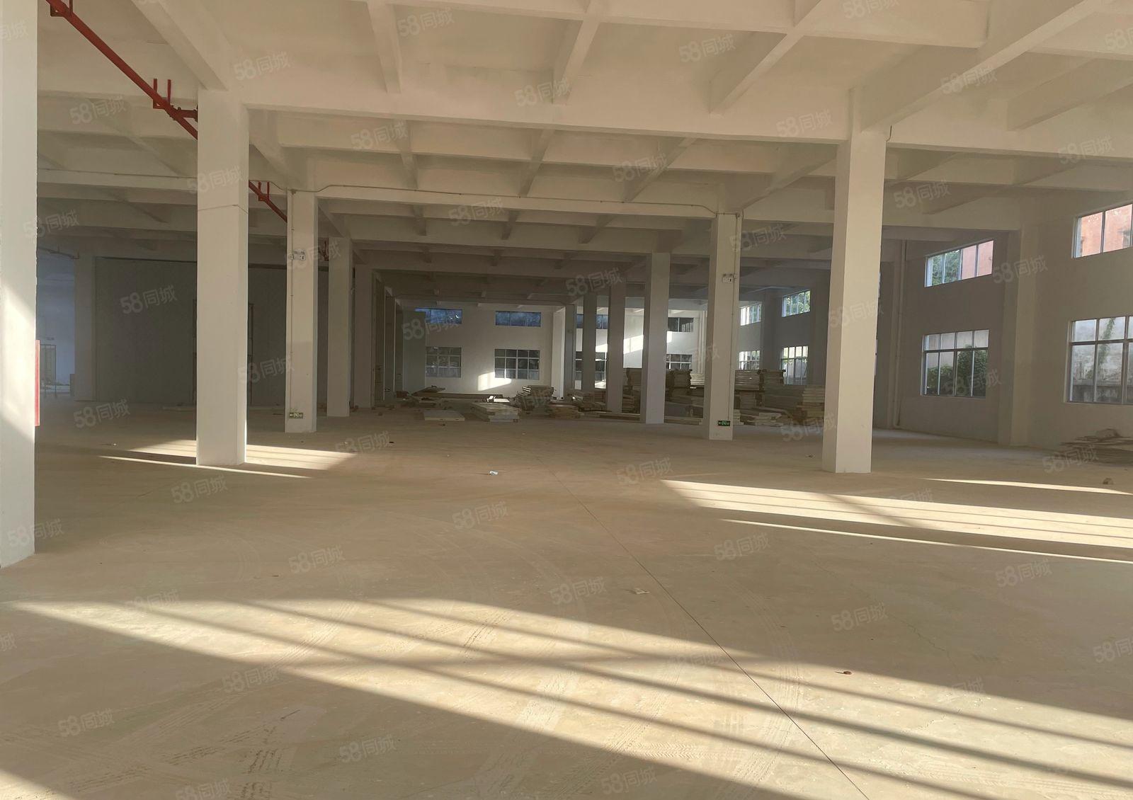 常平镇高速路口全新标准厂房招租