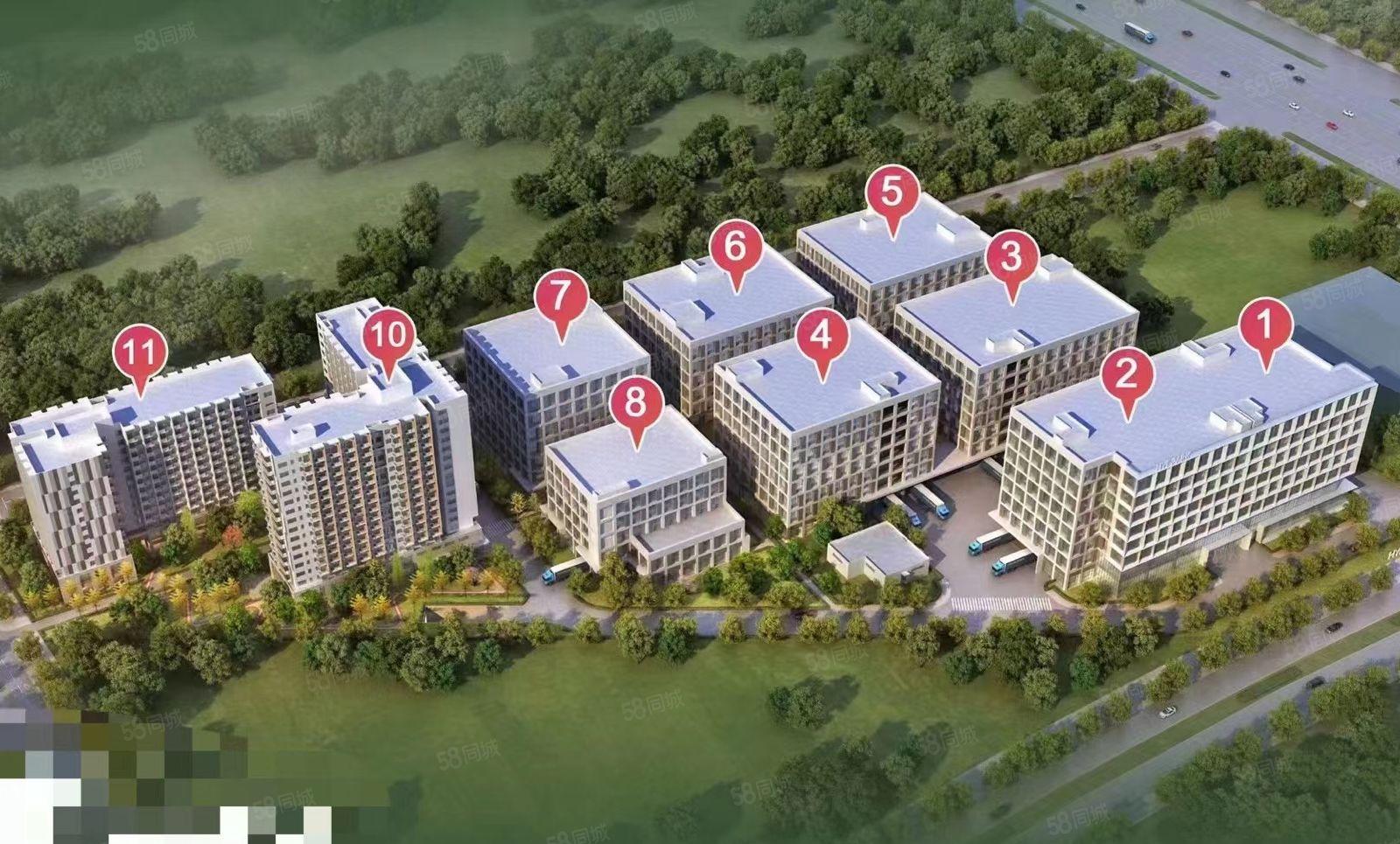 常平近东部工业区全新工业厂房每栋28000平可整租可分租