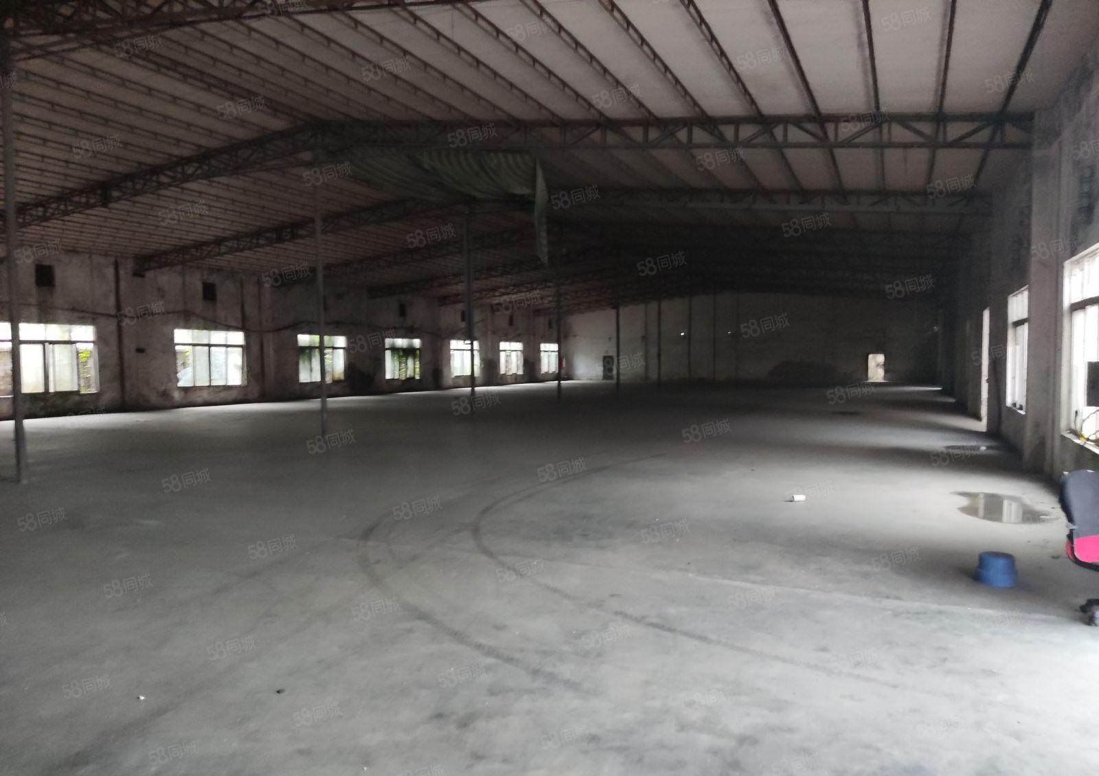 常平靠横沥单一层钢构独院可做抽粒空地大有现成装修办公室