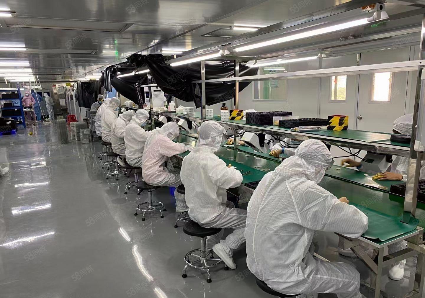 疫情低价出租常平镇袁山贝科技园现成无尘车间880平出租
