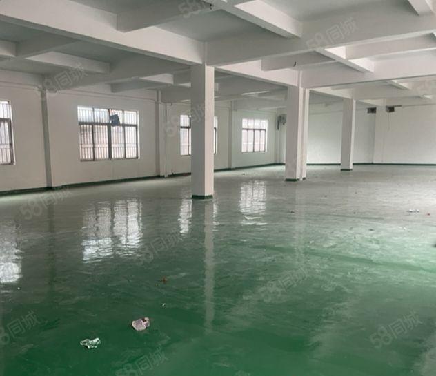 常平镇原房东标准一楼800平方厂房出租，形象好空地大交通便利