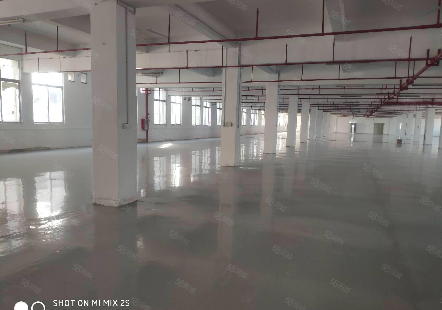 原房东标准厂房10000平方，带水电装修出租，空地大