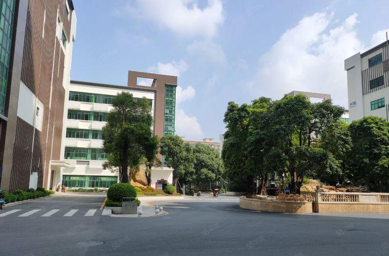 常平工业园一楼1000平米  二楼3000平米 大小面积分租