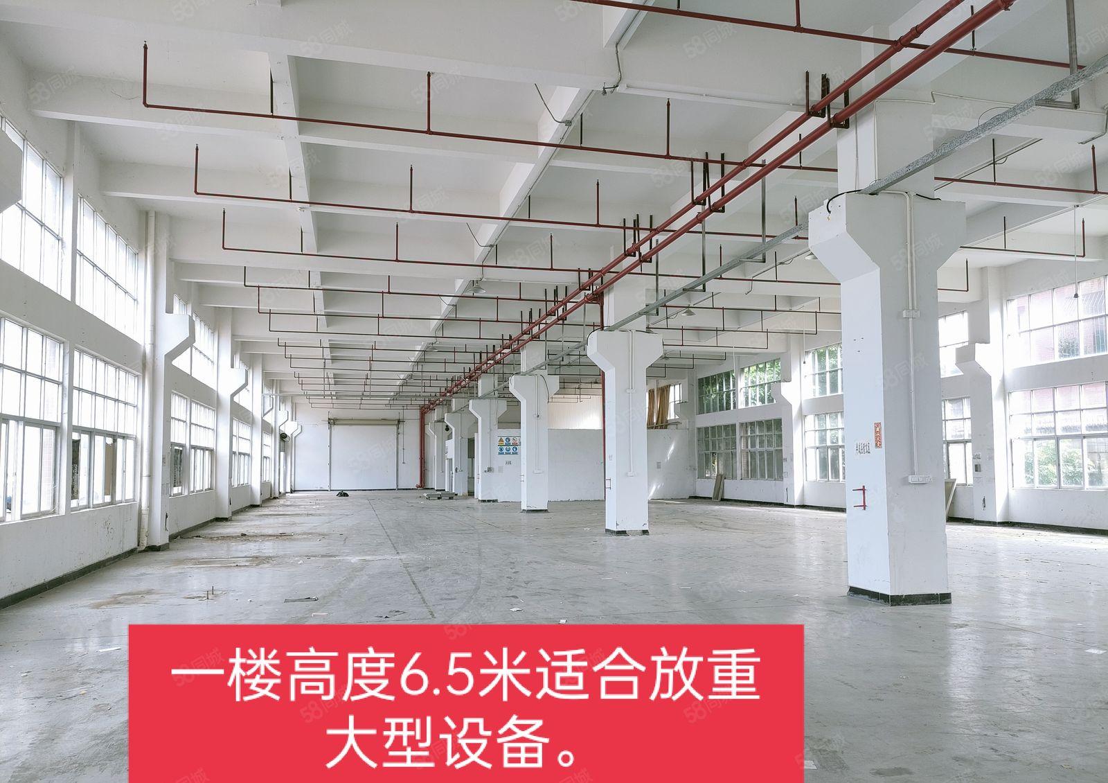 常平靠近袁山贝附近出租标准厂房3600平方，也可以分租500