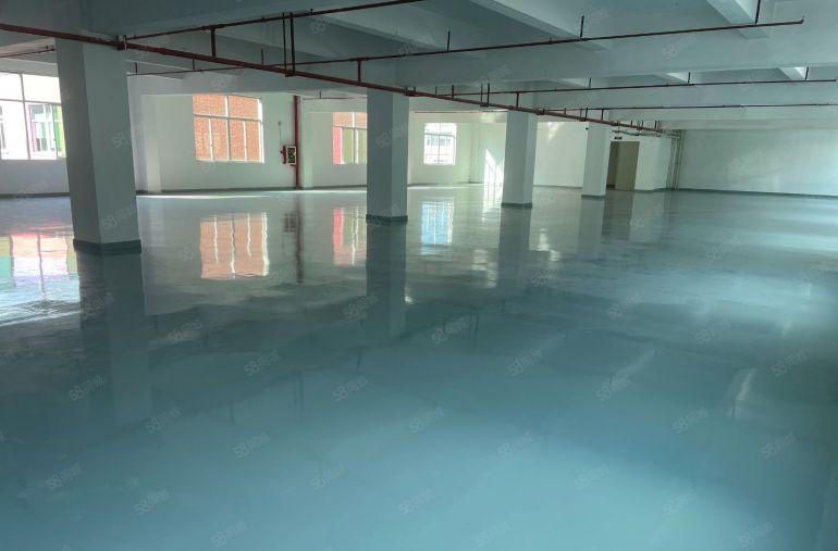 常平原房东新出全新标准厂房面积800平，车间现成装修3吨货梯