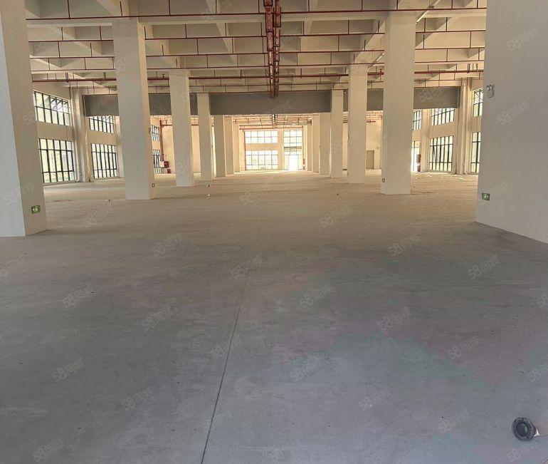 常平全新厂房可以分租，价格美丽！
