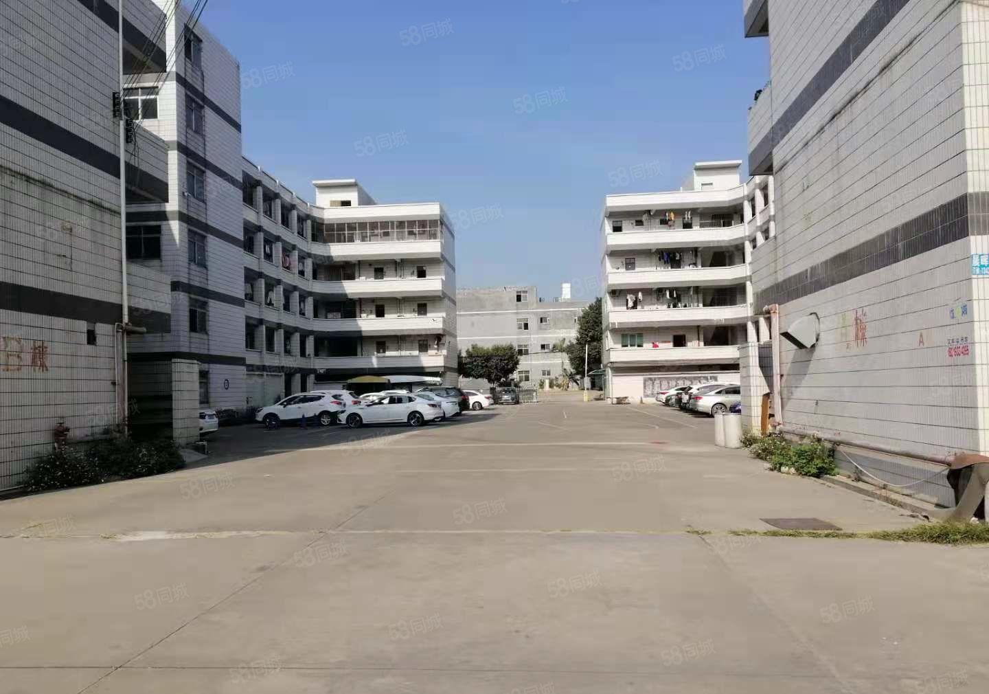 常平镇原房东标准厂房一楼5100平方，适合生产五金，注塑