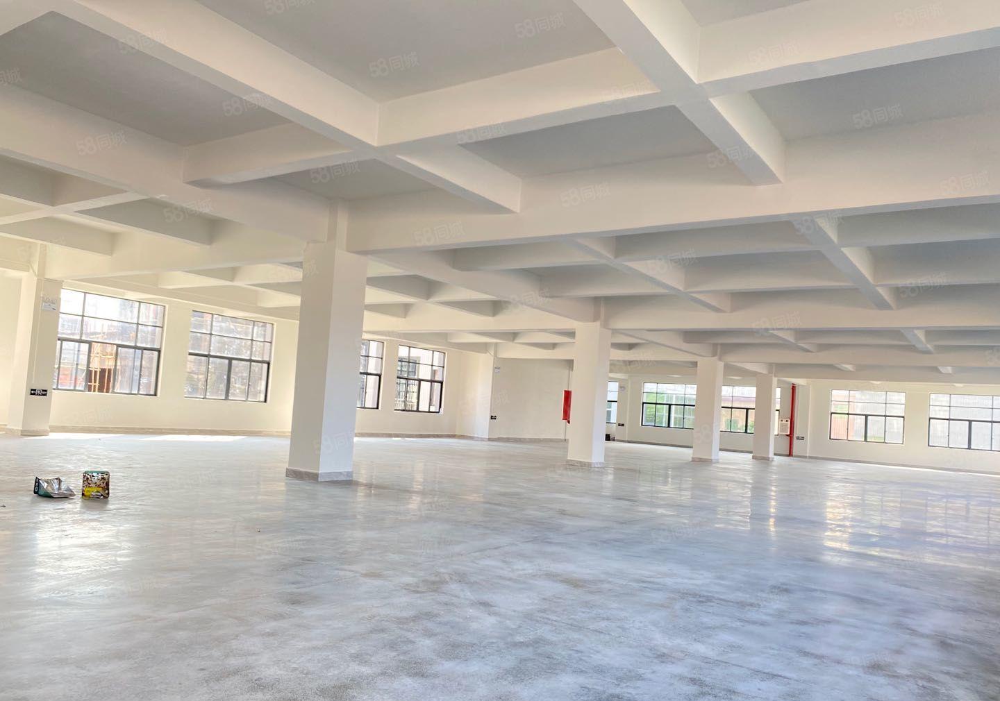 常平全新标准独院一楼6米高租金优惠5600平方可分租