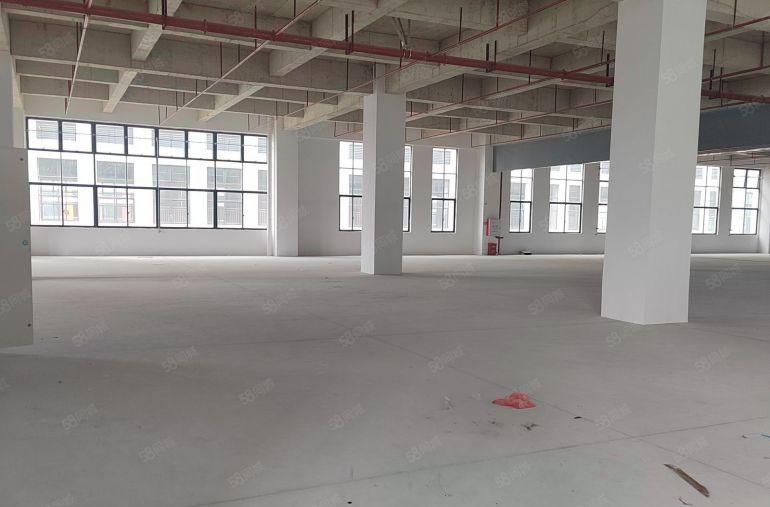 常平镇木伦村厂房10万平方招租，原房东直租，带装修。