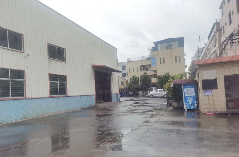 常平镇原房东单一层钢构1000平方厂房出租，形象超好，空地大