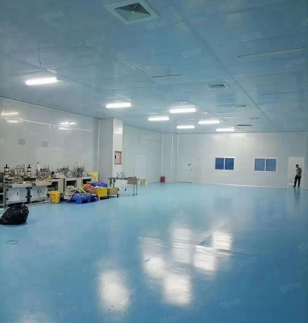 常平镇1200平豪华装修无尘车间转让