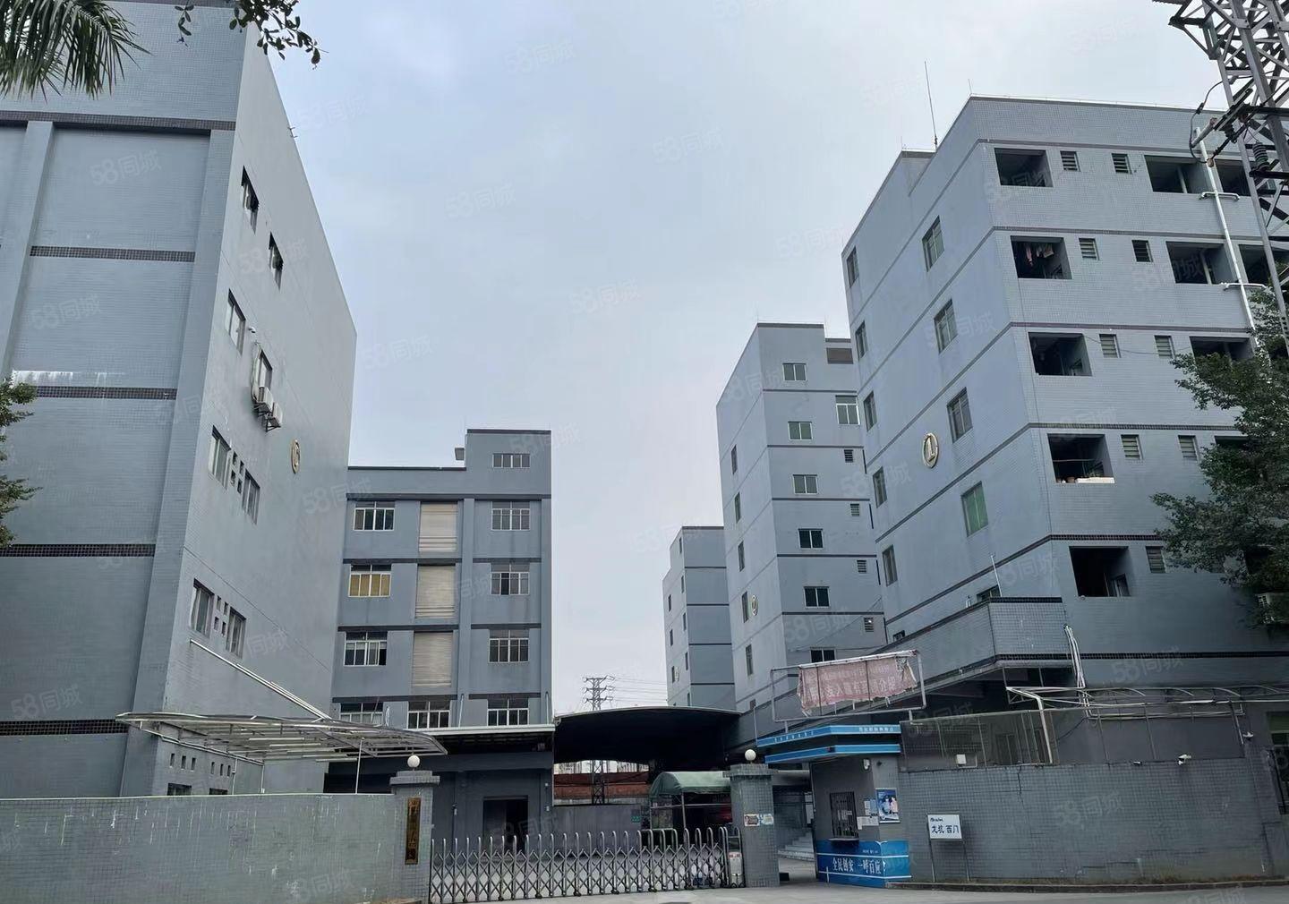 东坑镇小面积标准厂房出租，有消防喷淋，工业用地，可办环评