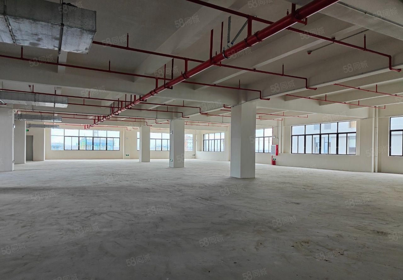 可分租！东莞常平镇 独门独院标准厂房出租，园区证件齐全空地大