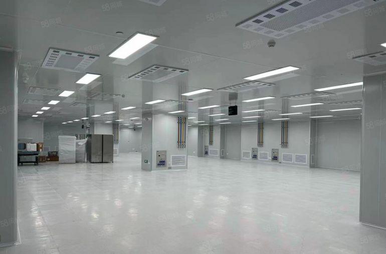 常平新出原房东独门独院8000平方精装修红本厂房可分租