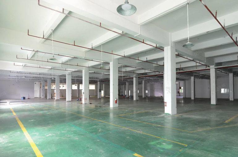 常平厂房出租原房东独门独院厂房国有双证5000平方带精装修