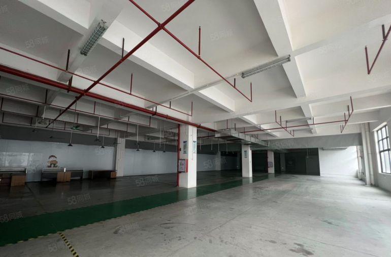 9元红本精装修楼上2500平方，水电齐全，拎包生产