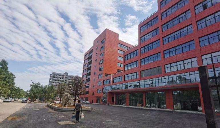 常平新出原房东60000平厂房仓库出租，一楼9米高，大小分租