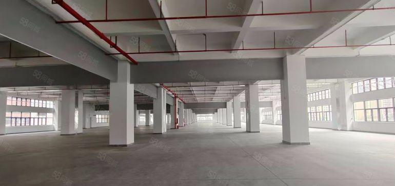 常平全新厂房可以分租，价格美丽！
