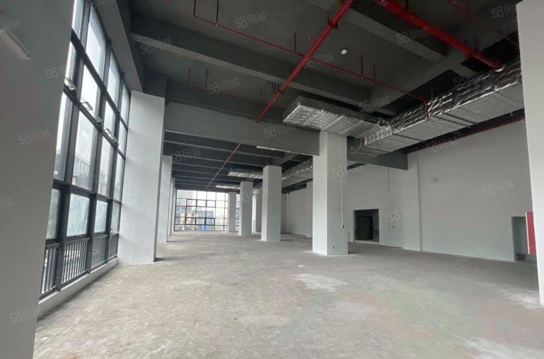 东莞雁田全新厂房招租 大小面积可分租 免租长适各行业看中可谈