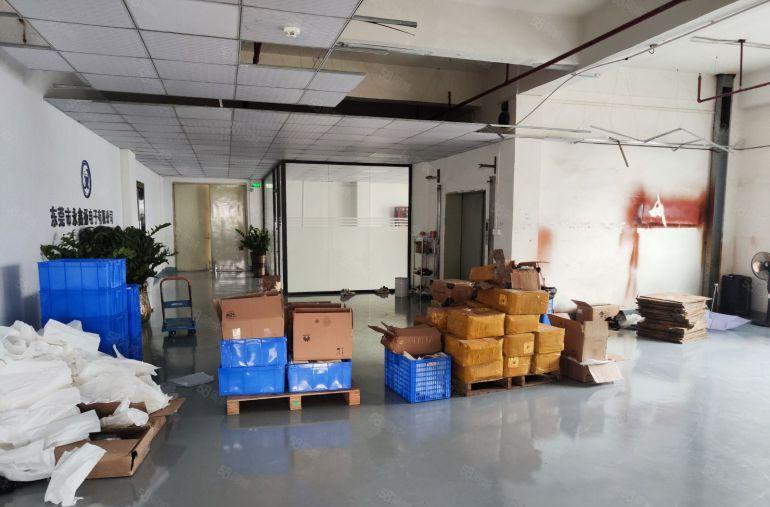 常平楼上3楼1400平带精装修办公室有地坪漆厂房价格便宜