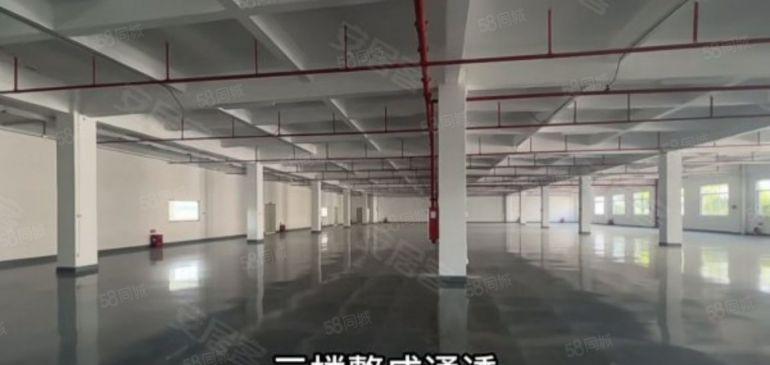 常平镇大型工业园分租2000平方一层，形象大气，交通便利