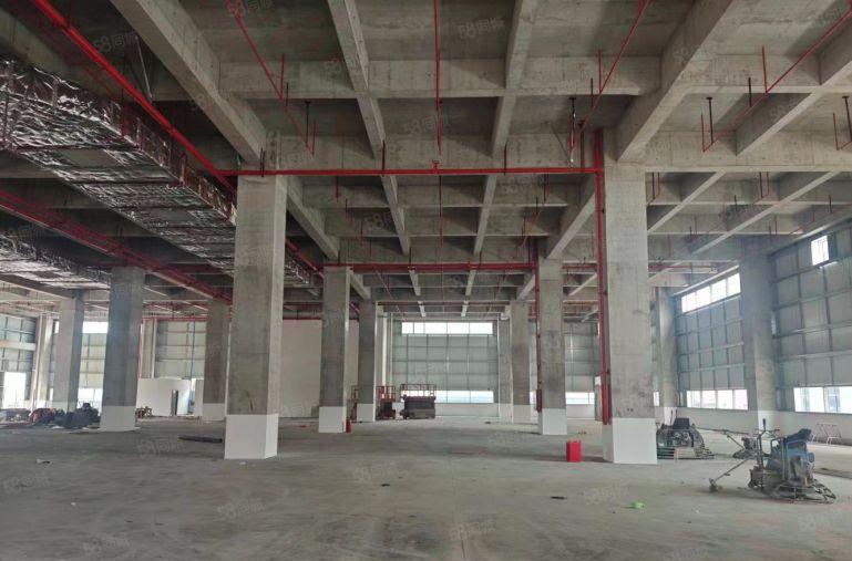 常平新出原房东独门独院18000平红本厂房适合冻库物流仓库等