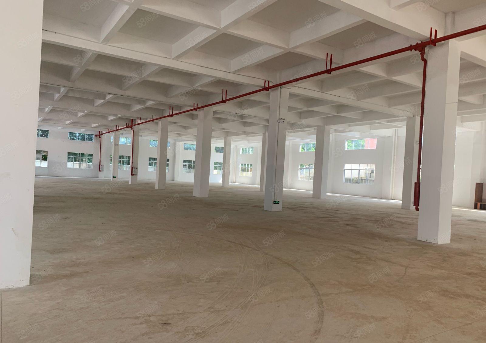 常平1500平标准厂房大小可分租