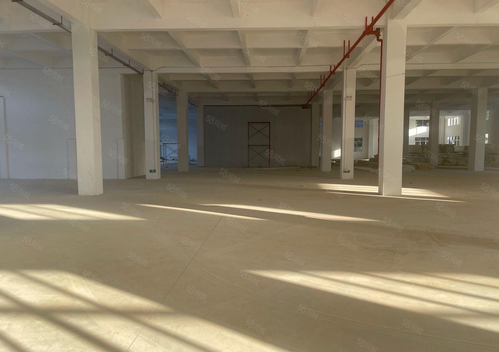 常平镇高速路口全新标准厂房招租