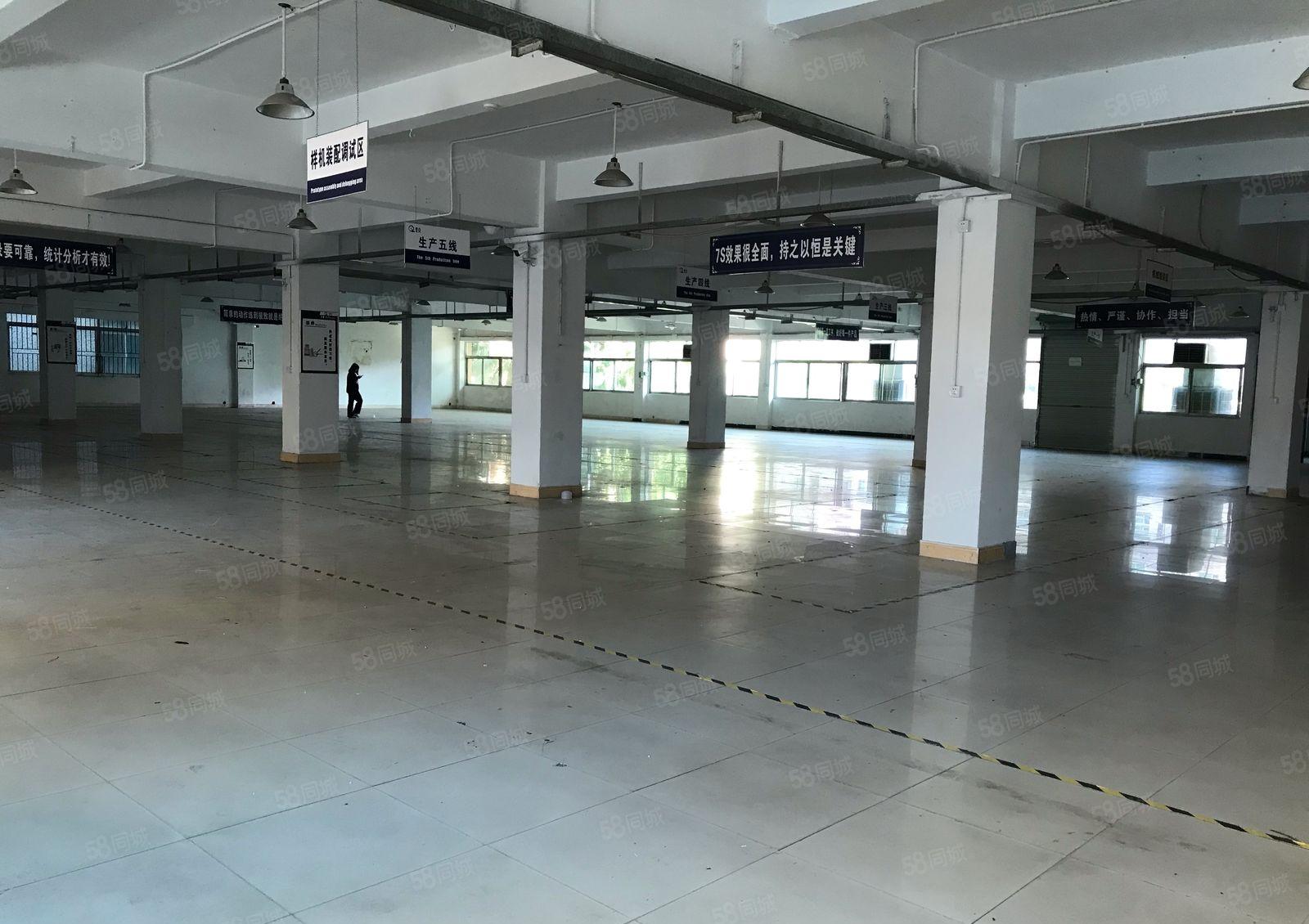 常平新出独门独院厂房5280平