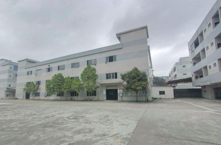 出租|常平10元标准独院无公摊空地超大花园式厂房格局方正