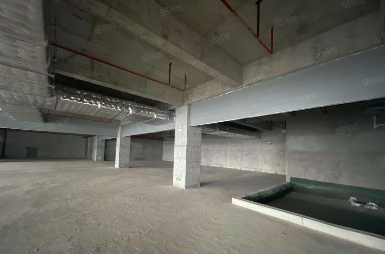 东莞雁田京东智谷 新园区500平至2千平招租 可分租价格可谈