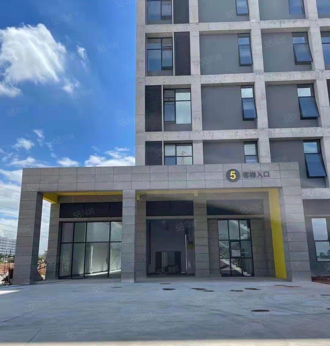 常平全新标准厂房20500平方出租，可分租