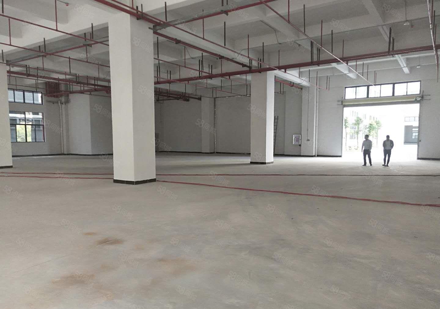 常平新出原房东自建标准厂房对外低价出租