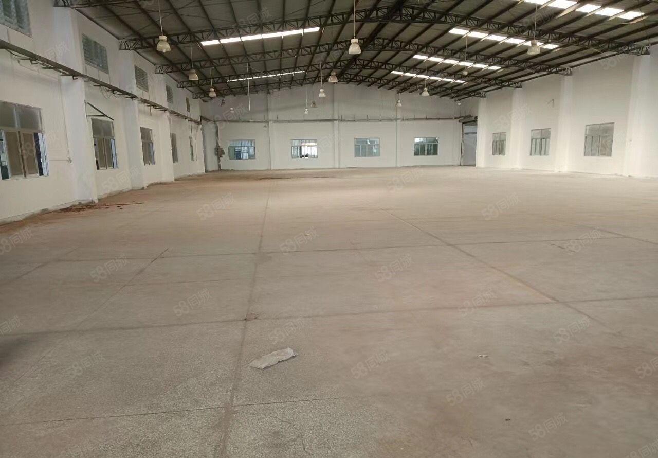 常平司马独门独院钢构厂房出租