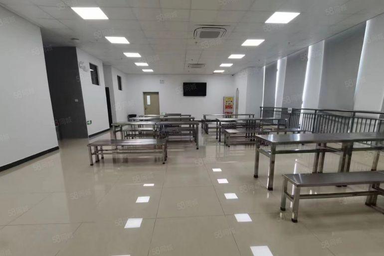 常平5000平标准物流仓出租，丙二类消防价格实惠