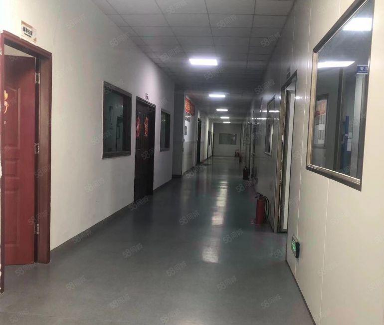 常平原房东厂房出租1800平带无尘车间精装修办公室