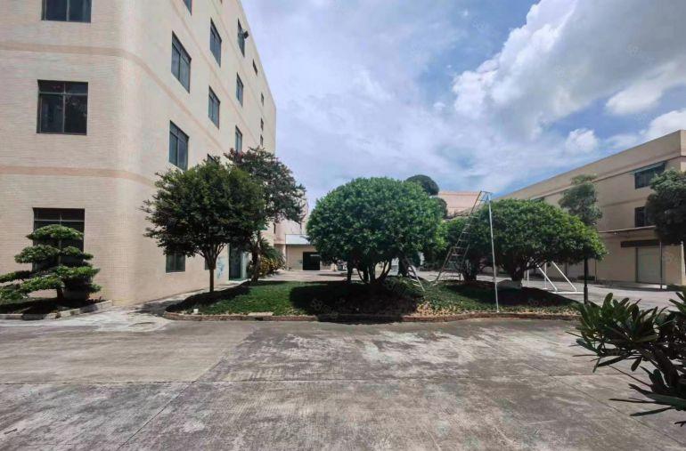 常平横江厦标准厂房出租，一楼600平，二楼800平，租10元