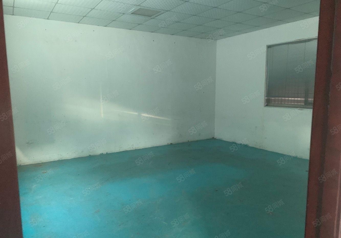 常平桥沥 原房东实际面积单一层1200平方 工业用地进车方便