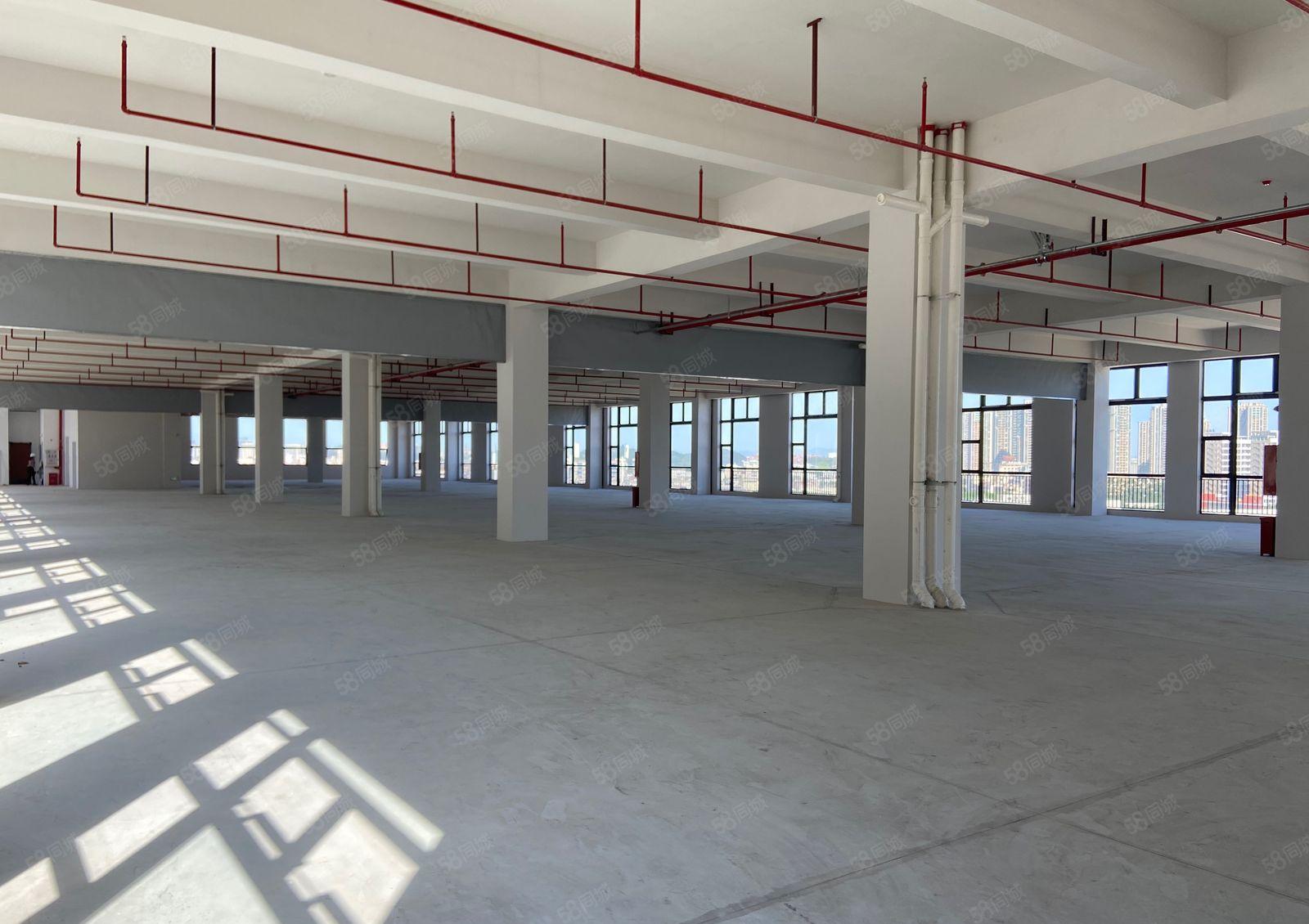 常平原房东红本楼房25000平方，单层面积2500，大小分租