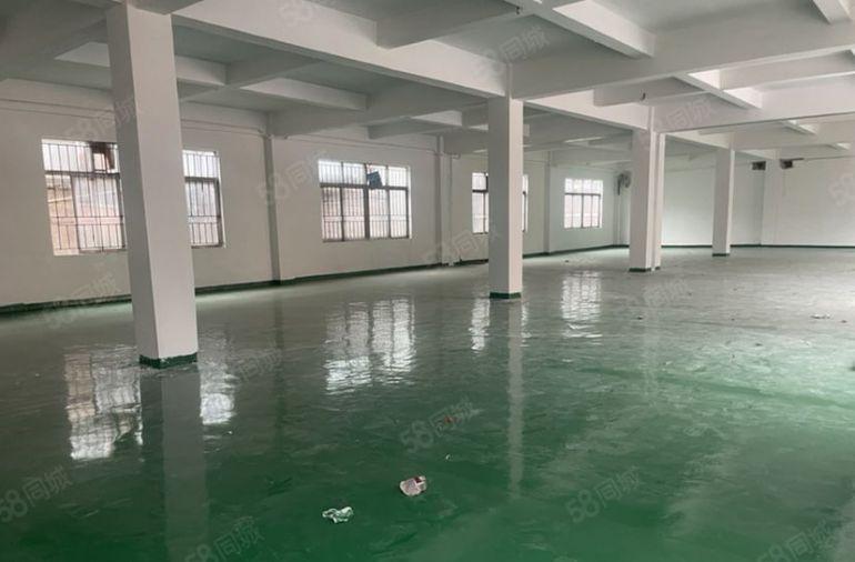 常平镇原房东标准一楼800平方厂房出租，形象好空地大交通便利