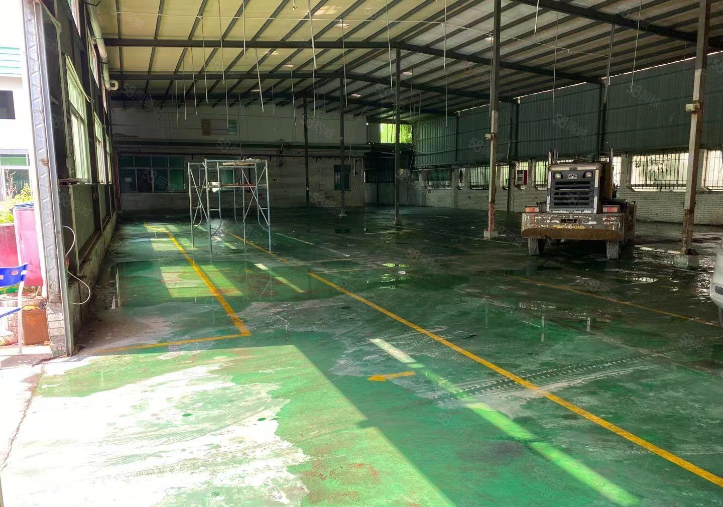 常平镇桥沥村原房东单一层钢构滴水八米独院厂房6250平米出租