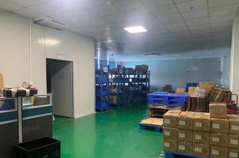 常平10元厂房零押金，无公摊面积精装修水电到位拎包入驻