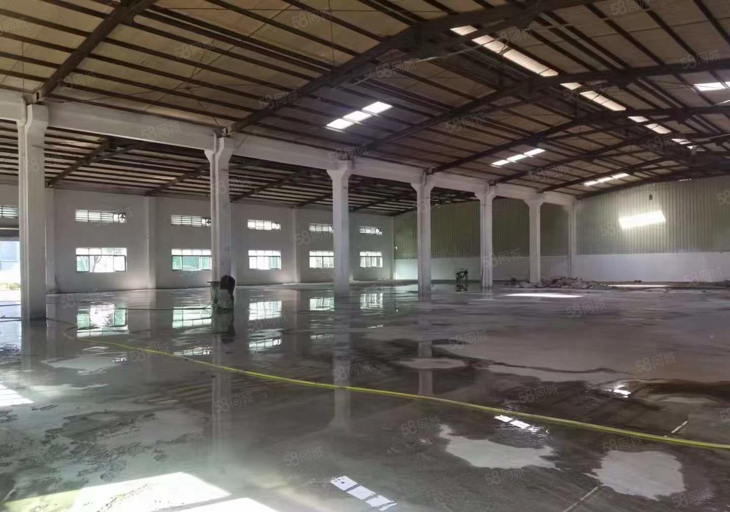 常平新出原房东单一层钢结构厂房招租