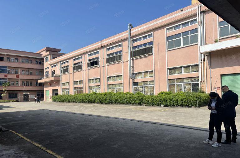 常平新出原房东标准小独院。带独栋豪华办公室，形象好空地超大，