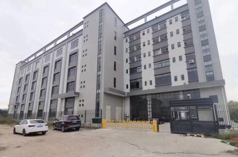 常平镇原房东独院标准带装修厂房出租