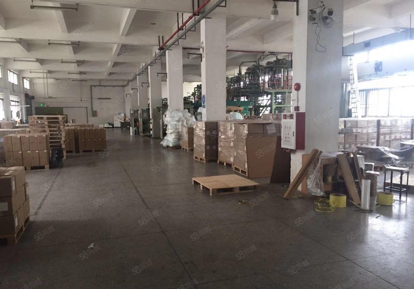 原房东分租标准厂房一楼800平方，层高5米，水电线路齐全