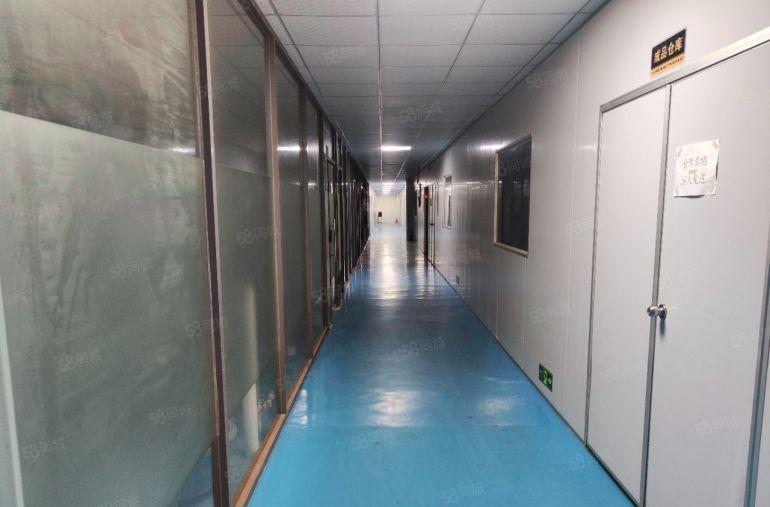 常平原房东独院重工业滴水9米16元现房厂房出租空地1000平